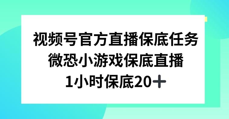 视频号直播任务，微恐小游戏，1小时20+【揭秘】-源码天堂