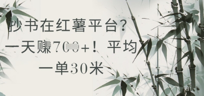 抄书在小红薯平台？平均一单30米，一天收益几张！-源码天堂