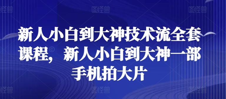 新人小白到大神技术流全套课程，新人小白到大神一部手机拍大片-源码天堂
