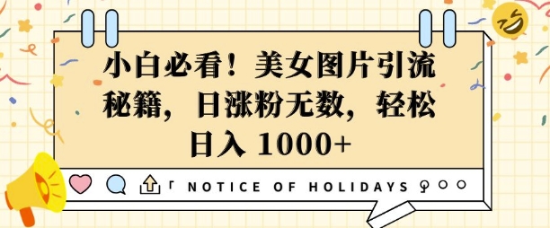 小白必看，美女图片引流秘籍，日涨粉无数，轻松日入几张【揭秘】-源码天堂