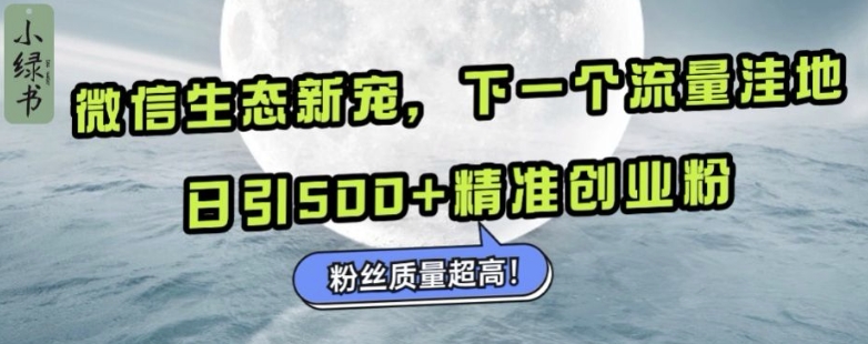 微信生态新宠小绿书：下一个流量洼地，日引500+精准创业粉，粉丝质量超高-源码天堂