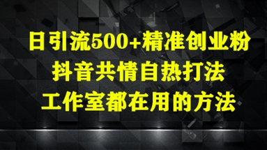 日引流500+精准创业粉，抖音共情自热打法，工作室都在用的方法-源码天堂