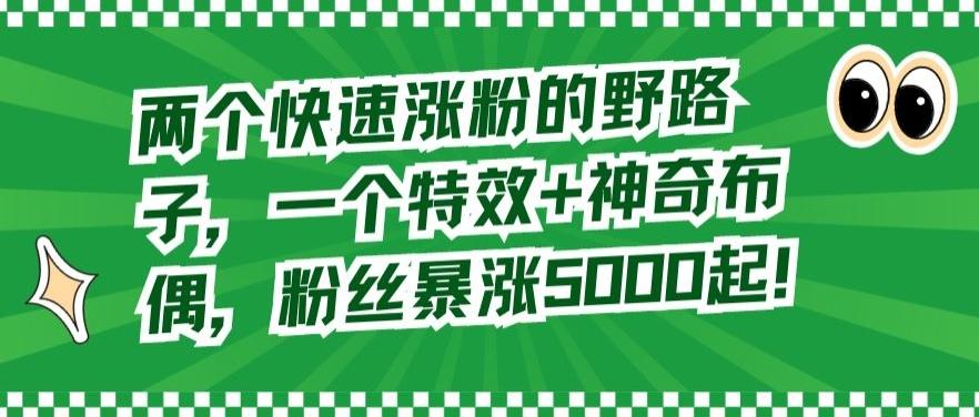 两个快速涨粉的野路子，一个特效+神奇布偶，粉丝暴涨5000起【揭秘】-源码天堂