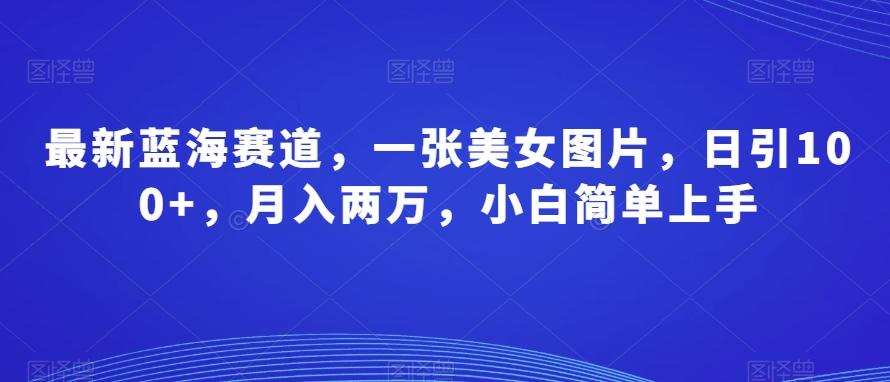 最新蓝海赛道，一张美女图片，日引100+，月入两万，小白简单上手-源码天堂