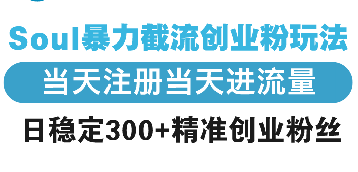 Soul暴力截流创业粉玩法，当天注册当天进流量，日稳定300+精准创业粉丝-源码天堂