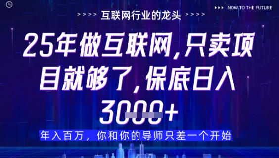 什么！25年你还在找项目做？风口早就变了，卖项目才是稳挣不赔【揭秘】-源码天堂