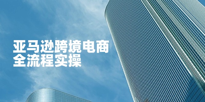 （14252期）亚马逊跨境电商全流程实操，教你从零开始，掌握店铺运营与广告技巧-源码天堂