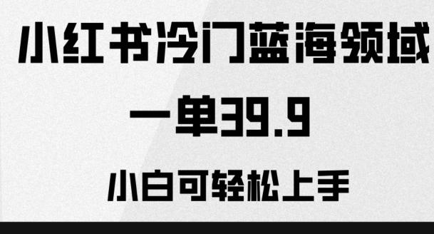 小红书冷门蓝海领域，一单39.9，小白可轻松上手-源码天堂