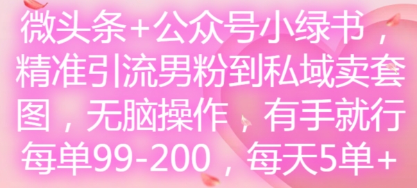 微头条+公众号小绿书，精准引流男粉到私域卖套图，无脑操作，有手就行，每单99-200，每天5单-源码天堂