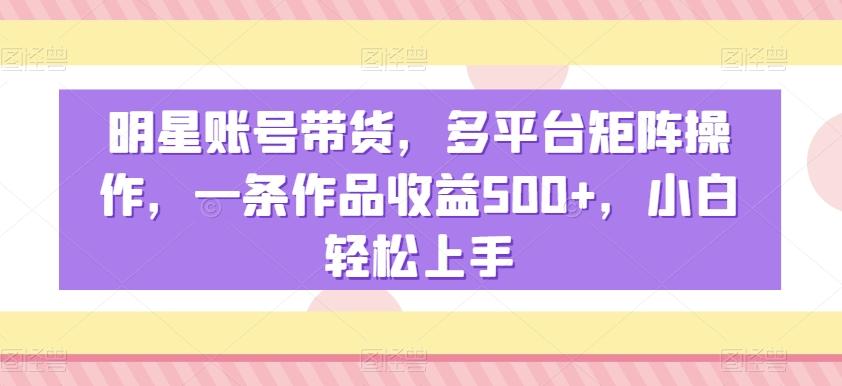 明星账号带货，多平台矩阵操作，一条作品收益500+，小白轻松上手【揭秘】-源码天堂