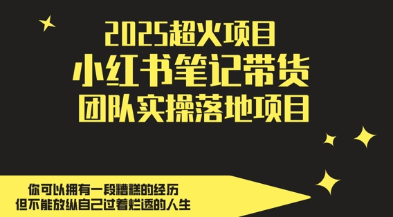 2025超火项目，副业最佳选择，小红书笔记带货团队实操落地项目，，轻松日入5张-源码天堂