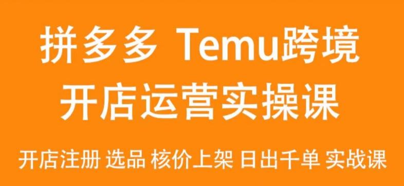 2024Temu最新玩法，Temu跨境开店运营实操课，开店注册/选品/核价上架/日出千单实战课-源码天堂