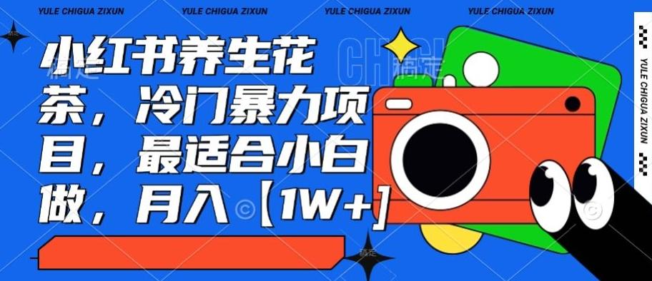 小红书养生花茶，冷门暴力项目，最适合小白做，月入【1W+】-源码天堂