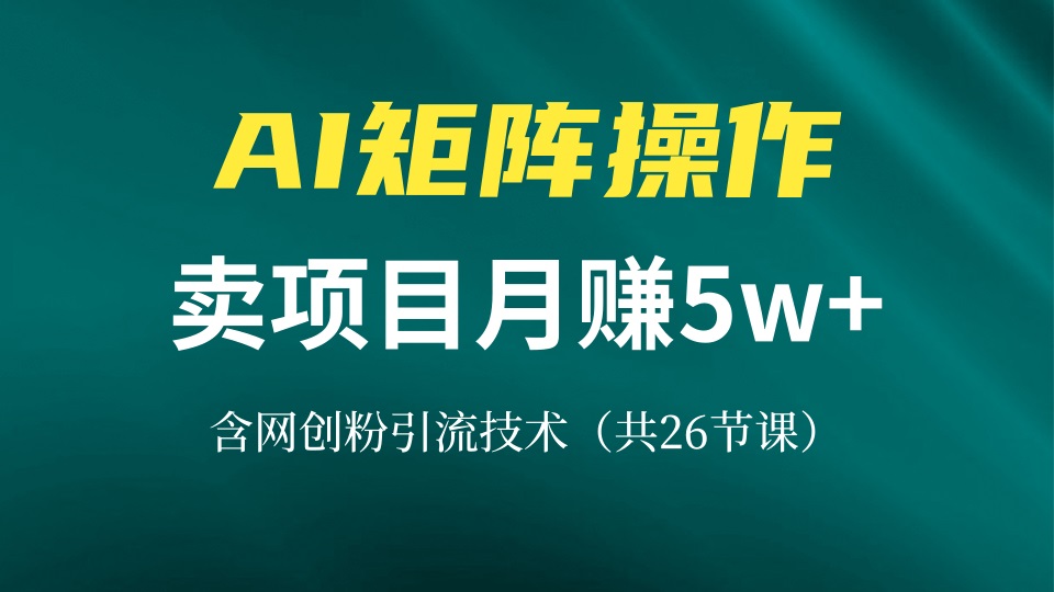 网创IP打造课，借助AI卖项目月赚5万+，含引流技术(共26节课-源码天堂
