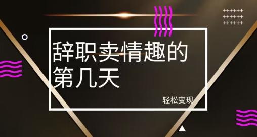 冷门赛道，辞职卖情趣的第几天，超暴力项目-源码天堂