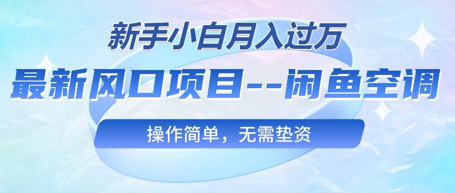最新风口项目—闲鱼空调，新手小白月入过万，操作简单，无需垫资-源码天堂