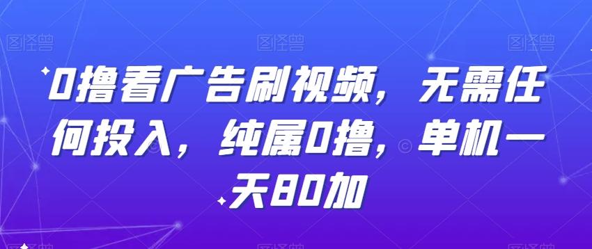 0撸看广告刷视频，无需任何投入，纯属0撸，单机一天80加-源码天堂