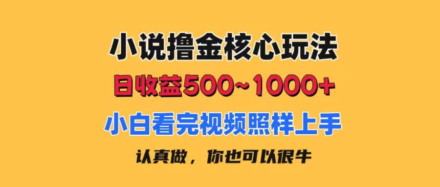 小说撸金核心玩法，日收益500-1000+，小白看完照样上手，0成本有手就行-源码天堂