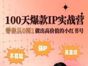小红书100天爆款IP实战营，带你从0到1做出高价值的小红书号-源码天堂