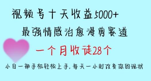 十天收益5000+，多平台捞金，视频号情感治愈漫剪，一个月收徒28个，小白一部手机轻松上手【揭秘】-源码天堂