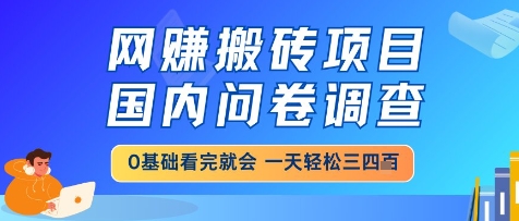 网创搬砖项目，国内问卷调查，小白轻松上手，一天三四张的也不难，干就完了【揭秘】-源码天堂