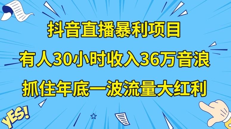 抖音直播暴利项目，有人30小时收入36万音浪，公司宣传片年会视频制作，抓住年底一波流量大红利【揭秘】-源码天堂