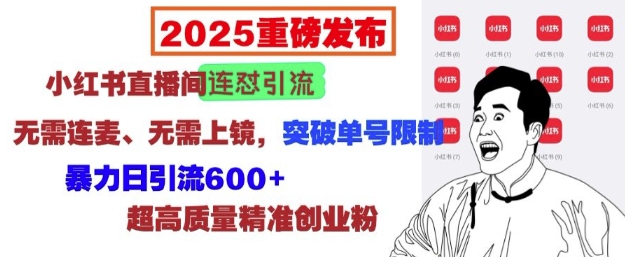 2025重磅发布：小红书直播间连怼引流，无需连麦、无需上镜，突破单号限制，暴力日引流600+-源码天堂
