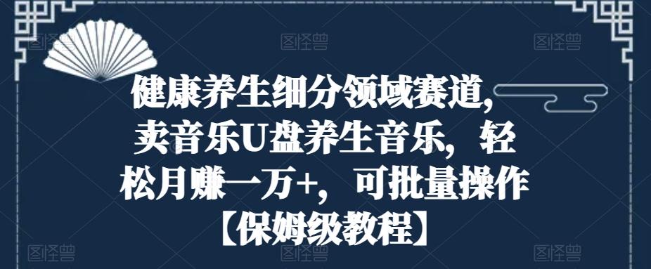 健康养生细分领域赛道，卖音乐U盘养生音乐，轻松月赚一万+，可批量操作【保姆级教程】-源码天堂