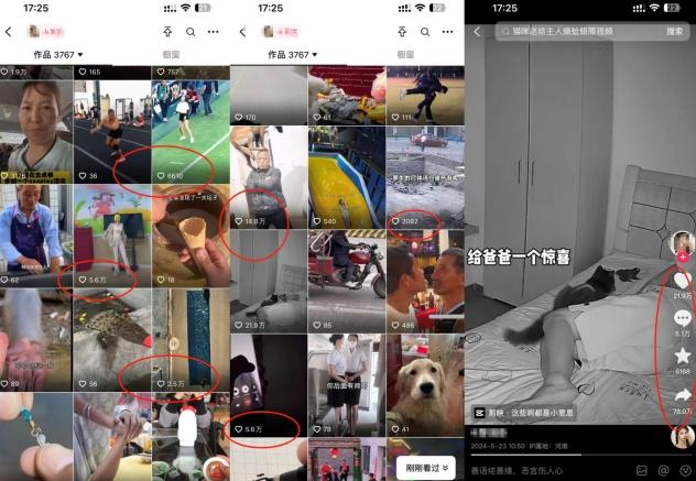 抖音最新双图文卡模板搬运技术，安卓苹果通用，百万千万播放嘎嘎爆-源码天堂