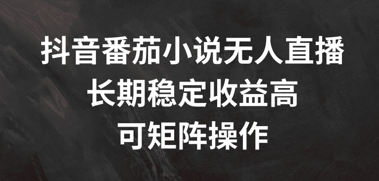 抖音番茄小说无人直播，长期稳定收益高，可矩阵操作【揭秘】-源码天堂