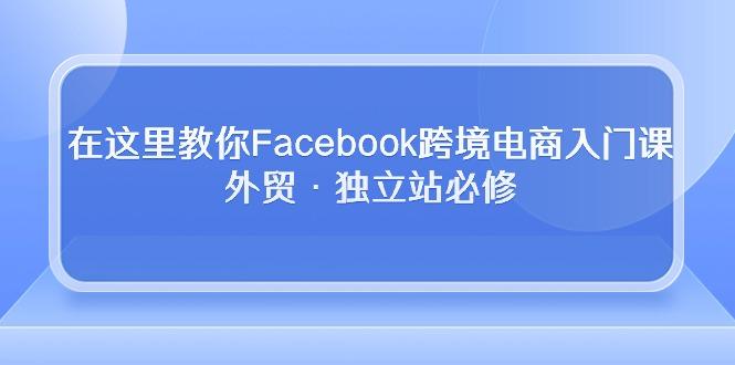 在这里教你Facebook跨境电商入门课，外贸·独立站必修-源码天堂