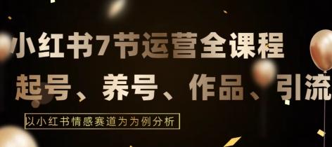 7节小红书运营实战全教程，结合最新情感赛道，打通小红书运营全流程【揭秘】-源码天堂
