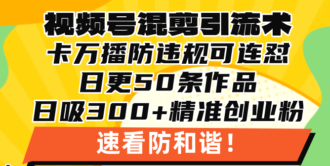视频号混剪引流技术，500万播放引流17000创业粉，操作简单当天学会-源码天堂