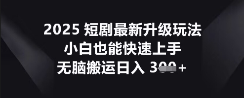2025短剧最新升级玩法，小白也能快速上手，无脑搬运日入3张-源码天堂