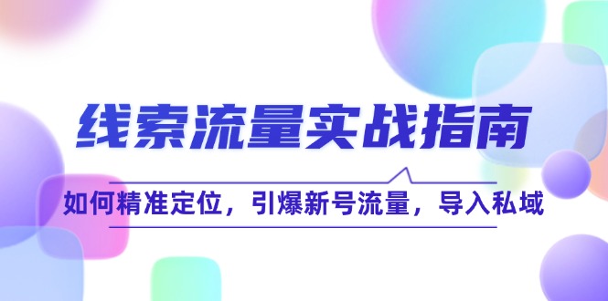 线 索 流 量-实战指南：如何精准定位，引爆新号流量，导入私域-源码天堂