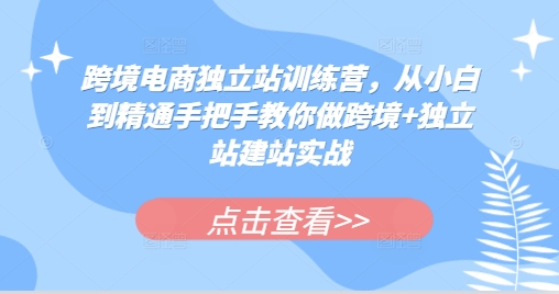 跨境电商独立站训练营，从小白到精通手把手教你做跨境+独立站建站实战-源码天堂