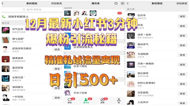 12月最新小红书3分钟爆粉引流秘籍 精准私域流量变现 日引500+-源码天堂
