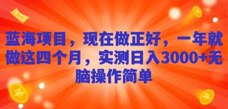 蓝海项目，现在做正好，一年就做这4个月，实测日入3000+，无脑简单操作！-源码天堂