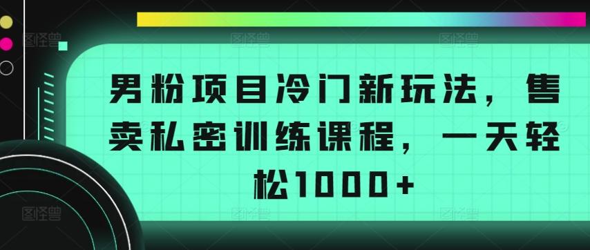 男粉项目冷门新玩法，售卖私密训练课程，一天轻松1000+【揭秘】-源码天堂