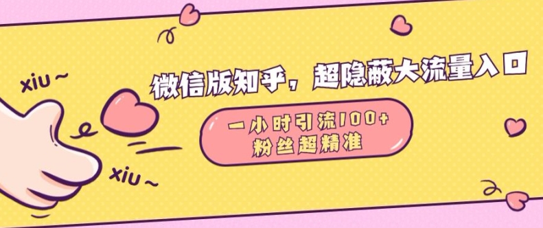 微信版知乎，超隐蔽流量入口1小时引流100人，粉丝质量超高【揭秘】-源码天堂