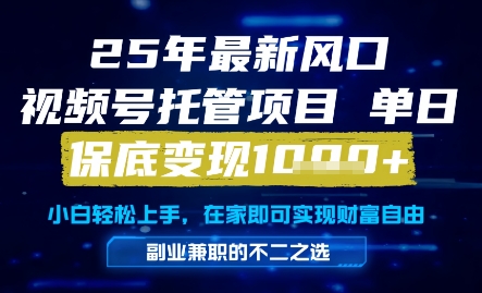 25年最新风口，视频号托管项目，单日保底变现1k+，手把手教学【揭秘】-源码天堂