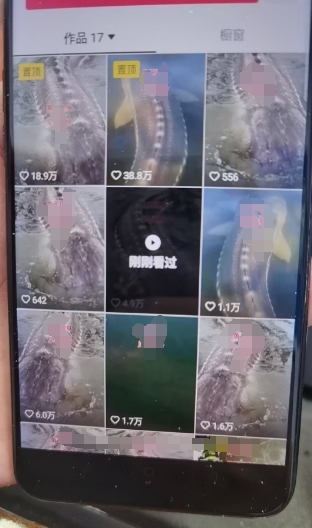 外面卖399的国学佛像原创暴力起号技术，快速起号，7天可达到一个万粉号-源码天堂