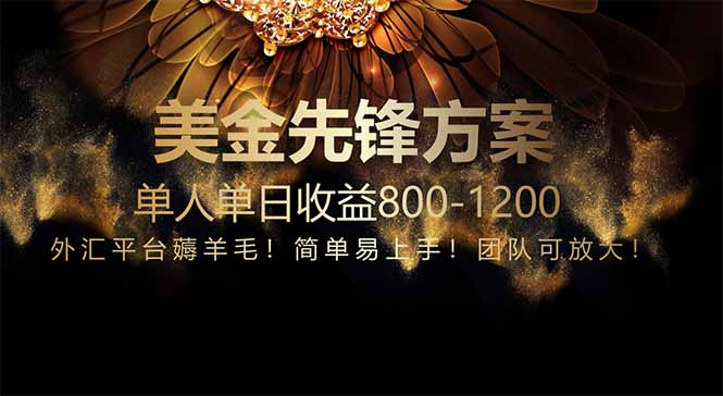 免费技术！小众赛道！一年布局抵三年努力，每日800+-源码天堂