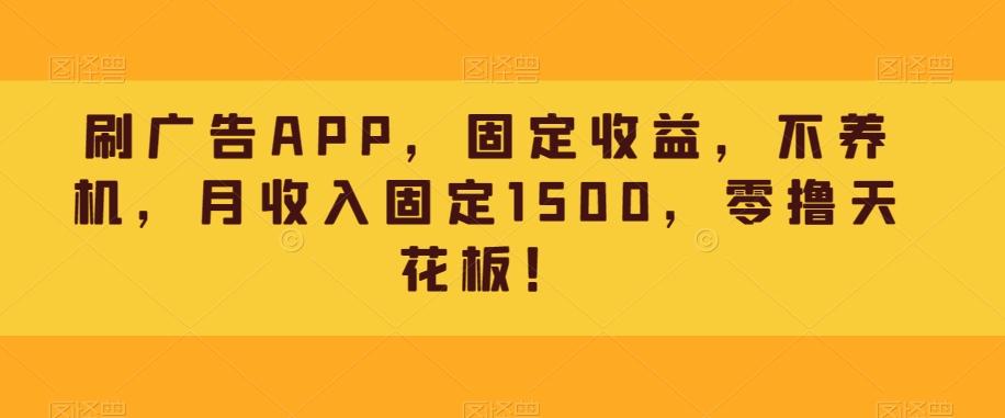 刷广告APP，固定收益，不养机，月收入固定1500，零撸天花板！-源码天堂