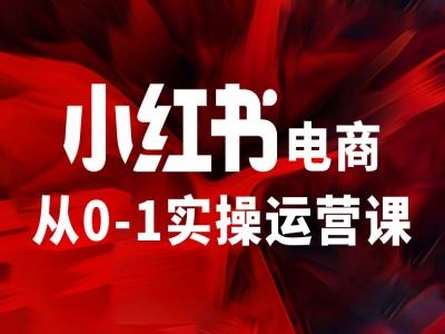 小红书电商从0-1实操运营课，让你从小白到精英-源码天堂