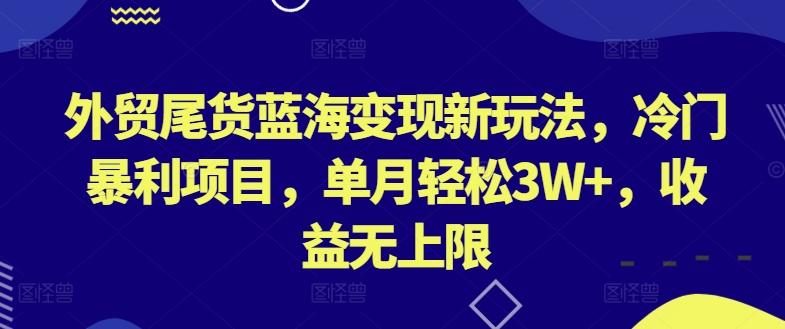 外贸尾货蓝海变现新玩法，冷门暴利项目，单月轻松3W+，收益无上限【揭秘】-源码天堂