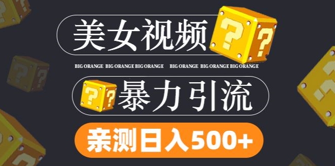 搬运tk美女视频全网分发，日引s粉300+，轻松变现，不限流量不封号【揭秘】-源码天堂