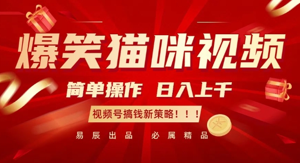 爆笑猫咪视频：简单操作，日入过K，视频号搞钱新策略【揭秘】-源码天堂