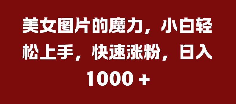 美女图片的魔力，小白轻松上手，快速涨粉，日入几张【揭秘】-源码天堂