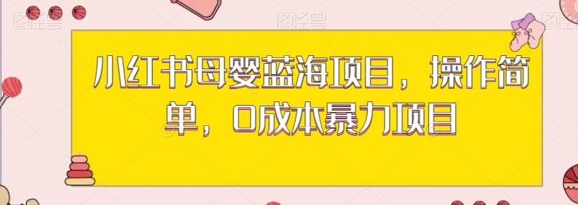 小红书母婴蓝海项目，操作简单，0成本暴力项目-源码天堂